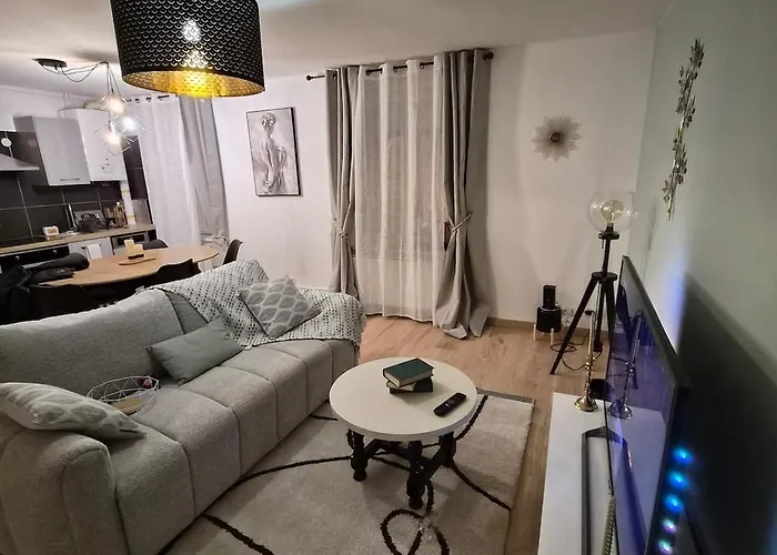 T3 Hypercentre De Accès Direct Gare Et Bus Appartement *